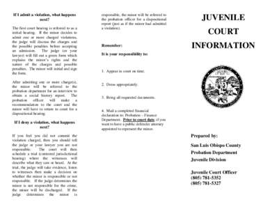 Microsoft Word - JUVENILE COURT INFORMATION.doc