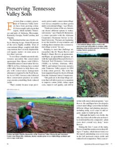 or more than a century, generations of Tennessee Valley farmers have been growing cotton. It’s been a staple cash crop in that region, which includes Tennessee and parts of Alabama, Mississippi, Kentucky, Georgia, Nort