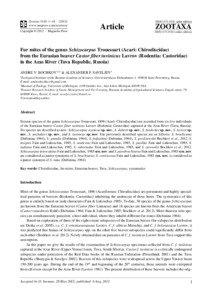 Fur mites of the genus Schizocarpus Trouessart (Acari: Chirodiscidae) from the Eurasian beaver Castor fiber tuvinicus Lavrov (Rodentia: Castoridae) in the Azas River (Tuva Republic, Russia)