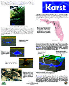 Florida’s geology allows for the creation of many interesting features including sinkholes, underground rivers, springs, and caves. These features make up what is called karst topography which forms as flowing water sl