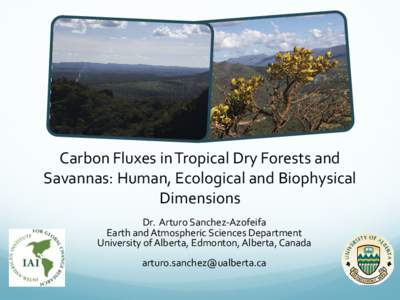 Carbon Fluxes in Tropical Dry Forests and Savannas: Human, Ecological and Biophysical Dimensions Dr. Arturo Sanchez-Azofeifa Earth and Atmospheric Sciences Department University of Alberta, Edmonton, Alberta, Canada