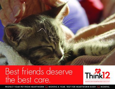 Best friends deserve the best care. PROTECT YOUR PET FROM HEARTWORM 12 MONTHS A YEAR. TEST FOR HEARTWORM EVE RY 12 MONTHS.