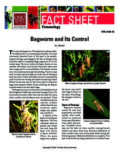 FACT SHEET Entomology HYG[removed]Bagworm and Its Control