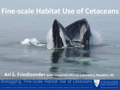 Fine-scale Habitat Use of Cetaceans  Ari S. Friedlaender Duke University Marine Laboratory, Beaufort, NC Thank you