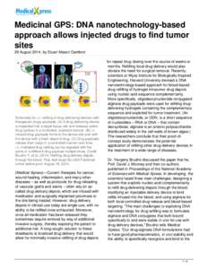 Medicinal GPS: DNA nanotechnology-based approach allows injected drugs to find tumor sites