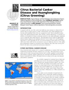 PUBLICATION 8218 	  Citrus Bacterial Canker Disease and Huanglongbing (Citrus Greening) UNIVERSITY OF
