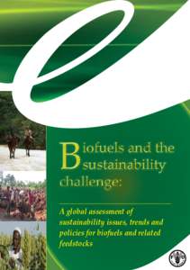 B  iofuels and the sustainability challenge:
