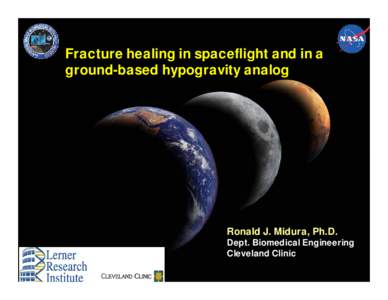 Fracture healing in spaceflight and in a ground-based hypogravity analog Ronald J. Midura, Ph.D. Dept. Biomedical Engineering Cleveland Clinic