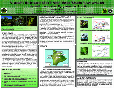 Microsoft PowerPoint - Naiothrips_FS-EM.poster_2012 [Compatibility Mode]