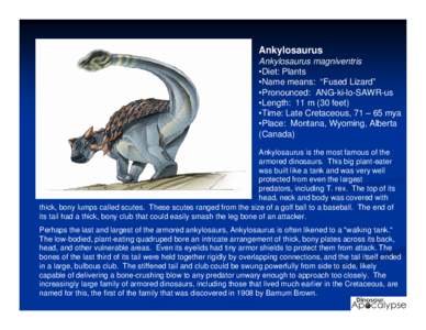 Ankylosaurus Ankylosaurus magniventris •Diet: Plants •Name means: “Fused Lizard” •Pronounced: ANG-ki-lo-SAWR-us •Length: 11 m (30 feet)