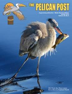 THE  PELICAN POST A quarterly publication - Weeks Bay Foundation Winter 2014 Volume 29, No. 4