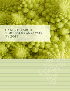 cam research portfolio analysis fy[removed]