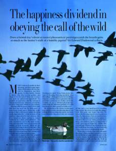 Thehappiness dividend in obeyingthe call ofthewild Does a formal day’s shoot at reared pheasants or partridges catch the breath quite so much as the hunter’s stalk of a humble pigeon? Sir Edward Dashwood reflects  M