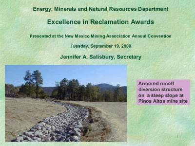 Energy, Minerals and Natural Resources Department   Excellence in Reclamation Awards  Presented at the New Mexico Mining Association Annual Convention  Tuesday, September 19, 2000 