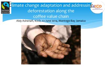 Climate change adaptation and addressing deforestation along the coffee value chain Abiy Ashenafi, ICCO, 22 June 2014, Montego Bay Jamaica  Outline of presentation