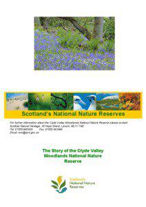 Clyde Valley Woodlands National Nature Reserve