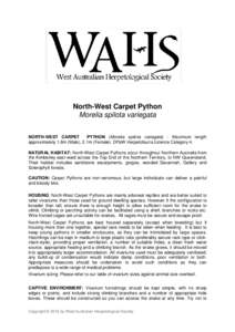 North-West Carpet Python Morelia spilota variegata NORTH-WEST CARPET PYTHON (Morelia spilota variegata) - Maximum length approximately 1.8m (Male), 2.1m (Female). DPaW Herpetofauna Licence Category 4. NATURAL HABITAT: No