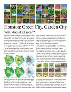 Houston: Green City, Garden City What does it all mean? The big wall of flowers, gardens, vegetables, and plants essentially recognizes and argues the notion that, in Houston, you can put a stick in the ground and it wil