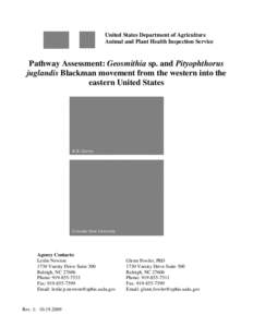 Medicinal plants / Fungal diseases / Thousand cankers disease / Weevils / Ornamental trees / Juglans / Walnut / J. californica / Beetle / Flora of the United States / Flora / Biology