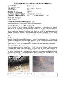KILKENNY - COUNTY GEOLOGICAL SITE REPORT NAME OF SITE Other names used for site IGH THEME: TOWNLAND(S) NEAREST TOWN