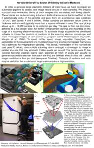 Harvard University & Boston University School of Medicine In order to generate large volumetric datasets of brain tissue, we have developed an automated pipeline to section, and image neural circuits in brain samples. We