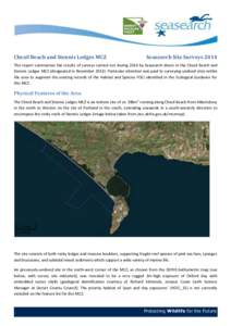 Geography of the United Kingdom / Chesil Beach / Chesil Cove / Abbotsbury / Isle of Portland / Eunicella / West Bay /  Dorset / Dorset / Geography of England / Jurassic Coast