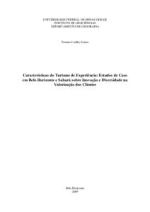 UNIVERSIDADE FEDERAL DE MINAS GERAIS INSTITUTO DE GEOCIÊNCIAS DEPARTAMENTO DE GEOGRAFIA Tamara Coelho Soares