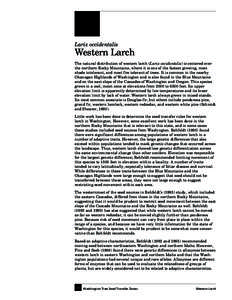 Larix occidentalis  Western Larch The natural distribution of western larch (Larix occidentalis) is centered over the northern Rocky Mountains, where it is one of the fastest growing, most shade intolerant, and most fire