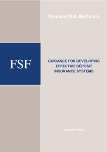 Financial Stability Forum  FSF FSF  GUIDANCE FOR DEVELOPING