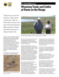Wyoming Toad Fact Sheet 06-06