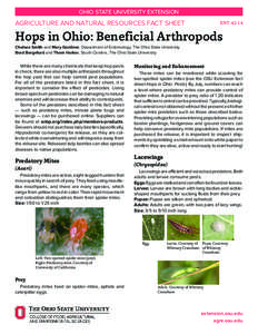 Hops in Ohio: Beneficial Arthropods