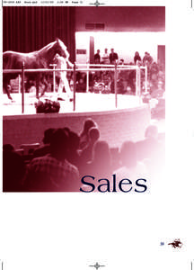 Danehill / Auction / Thoroughbred valuation / Horse racing / Thoroughbred / Yearling