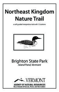 Northeast Kingdom Nature Trail a self-guided interpretive trail with 15 stations Brighton State Park Island Pond, Vermont