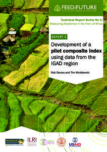 Technical Report Series No 1:  Measuring Resilience in the Horn of Africa R E P OR T 3