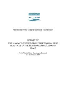 True seals / Fishing / Animal rights / North Atlantic Marine Mammal Commission / Seal hunting / International Whaling Commission / Hunting / Seal / Hakapik / Fauna of Europe / Whaling / Security