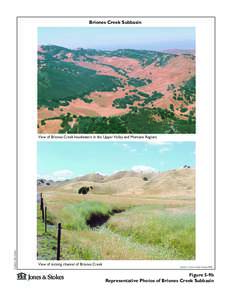 Briones Creek SubbasinView of Briones Creek headwaters in the Upper Valley and Montane Regions