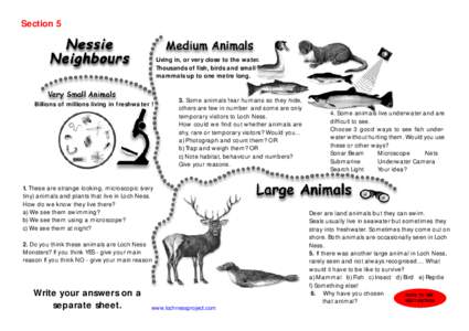 Section 5  Living in, or very close to the water. Thousands of fish, birds and small mammals up to one metre long.