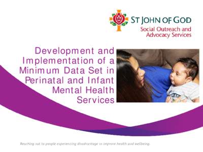 Development and Implementation of a Minimum Data Set in Perinatal and Infant Mental Health Services