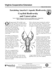 Food and drink / Crayfish / Louisiana cuisine / Seafood / Swedish cuisine / Astacidae / Regina grahamii / Orconectes / Phyla / Protostome / Cambaridae