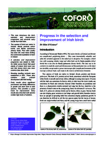 Reproductive Material No. 10  This note introduces the birch selection and improvement