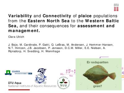 Variability and Connectivity of plaice populations from the Eastern North Sea to the Western Baltic Sea, and their consequences for assessment and management. Clara Ulrich J. Boje, M. Cardinale, P. Gatti, Q. LeBras, M. A