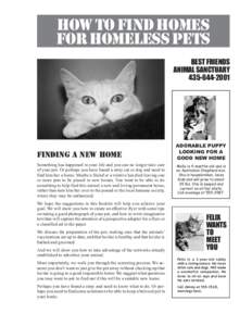 How to Find Homes for Homeless Pets