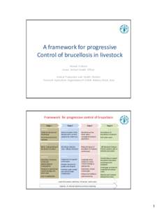 A framework for progressive Control of brucellosis in livestock Ahmed El Idrissi Senior Animal Health Officer Animal Production and Health Division Food and Agriculture Organization of United Nations, Rome, Italy