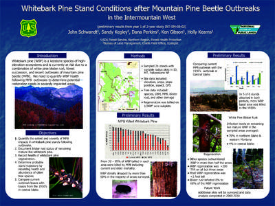 Whitebark Pine Stand Conditions in the Intermountain West after Mountain Pine Beetle Oubreaks John Schwandt1, Sandy Kegley1, Dana Perkins2, Ken Gibson1, Holly Kearns1 1 USDA Forest Service Northern Region Forest Health P
