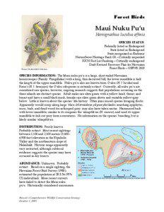 Microsoft Word - maui nukupuu NAAT final !.doc