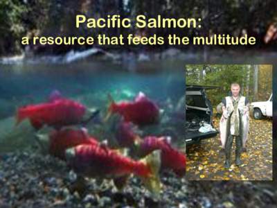 Pacific Salmon: a resource that feeds the multitude There are five species of Pacific Salmon, all on the fingers of your hand: