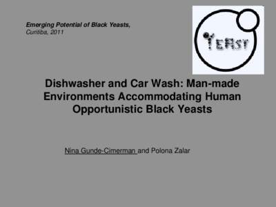 Yeasts / Eurotiomycetes / Pichia / Saccharomycetes / Ascomycota / Exophiala / Aspergillus / Antarctic microorganism / Tree of life / Biology / Mycology