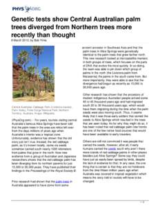 Genetic tests show Central Australian palm trees diverged from Northern trees more recently than thought