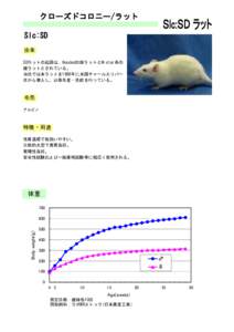 クローズドコロニー/ラット Slc:SD 由来 SDラットの起源は、Hoodedの雄ラットとWistar系の 雌ラットとされている。 当社では本ラットを1968年に米国チャールスリバー