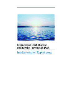 Minnesota Heart Disease and Stroke Prevention Plan Implementation Report 2013 Minnesota Heart Disease and Stroke Prevention Plan Implementation Report 2013